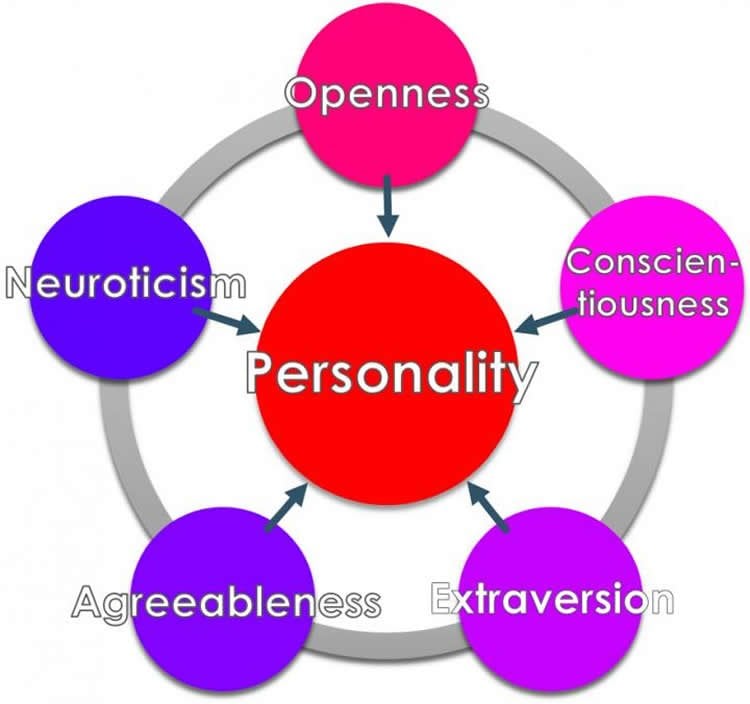 Image shows a personality trait wheel.