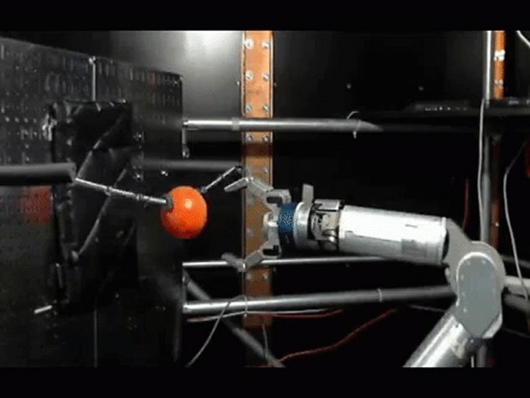 Image shows the robotic arm grasping a ball.