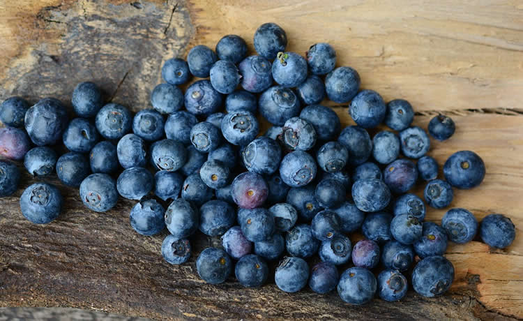 blueberries are shown