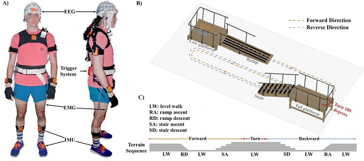 Image shows the test subject.