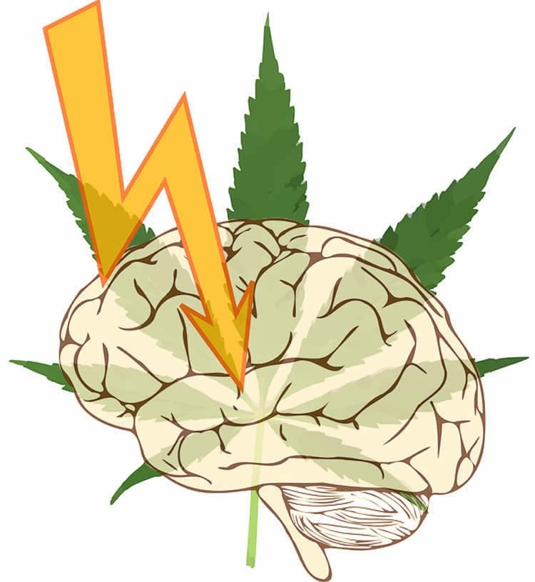 Image shows a brain and cannabis leaf.