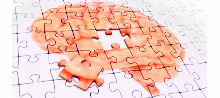 brain jigsaw