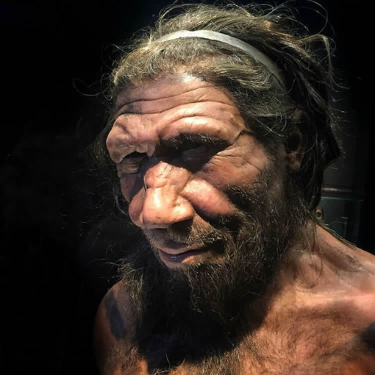 neanderthal