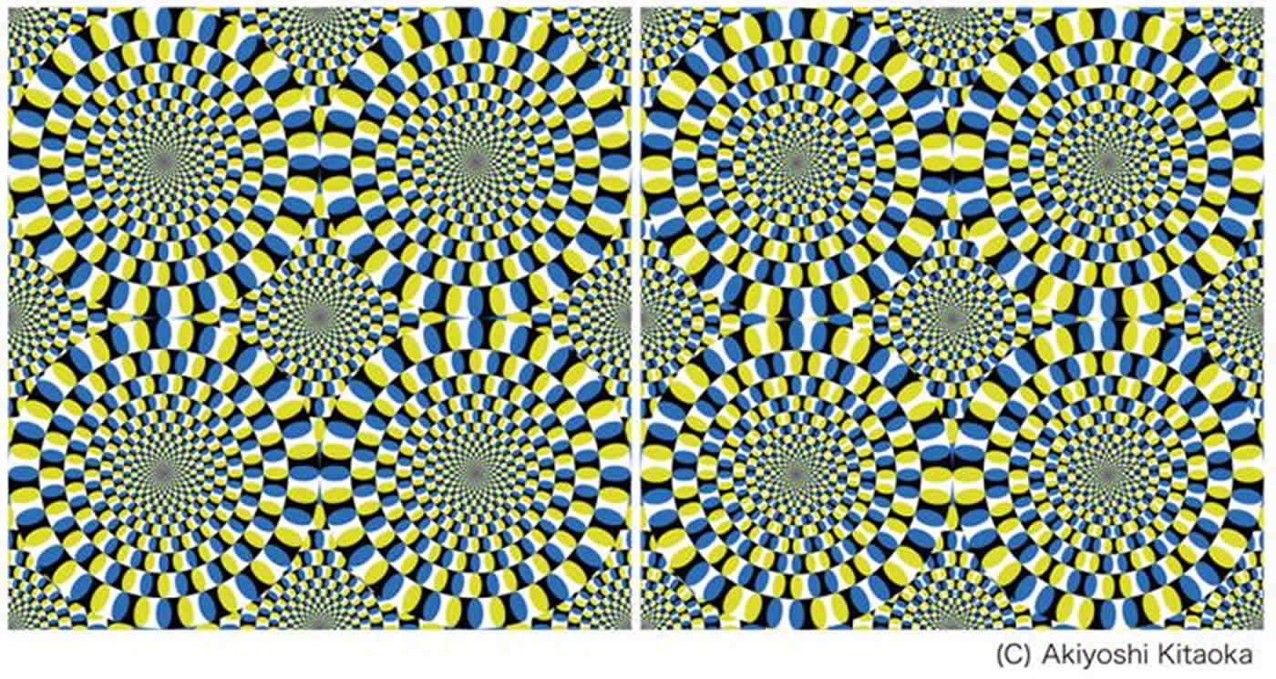 snake illusion