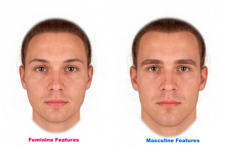 masculine face shape