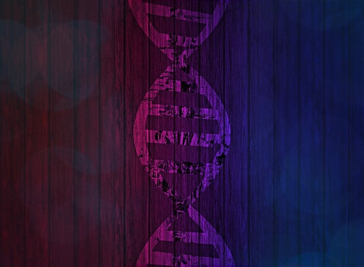 dna