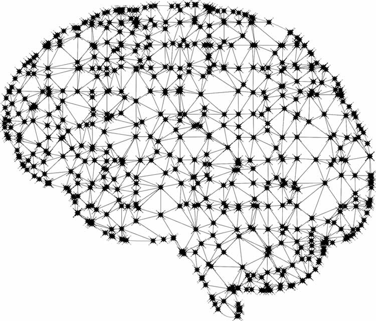 a brain network