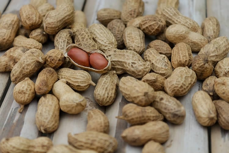 peanuts are shown