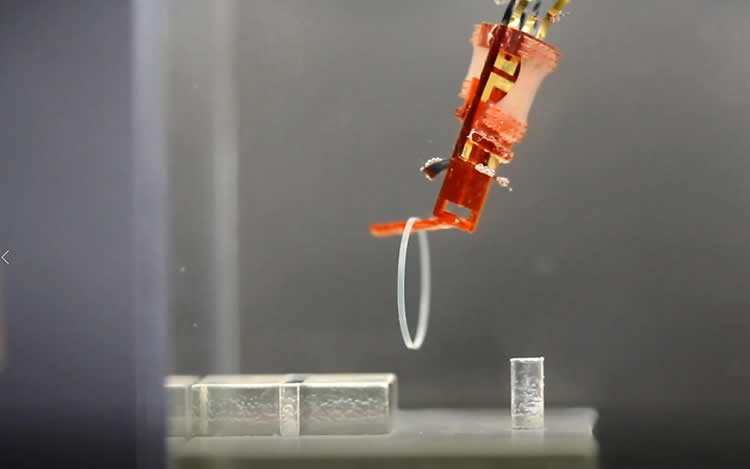 image of the robotic hand