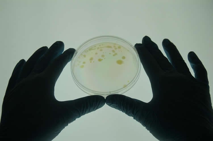 a person holding a petri dish