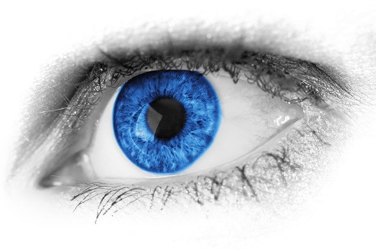 a blue eye