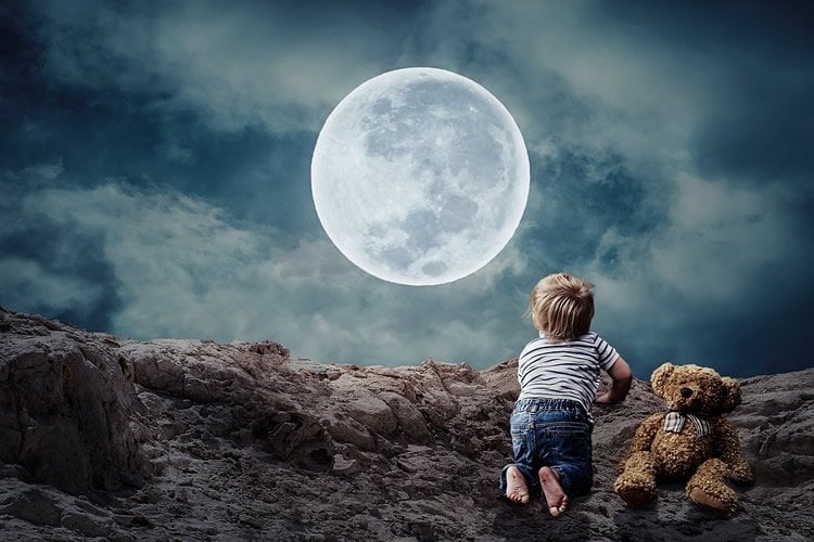 a child and teddy bear in the moonlight