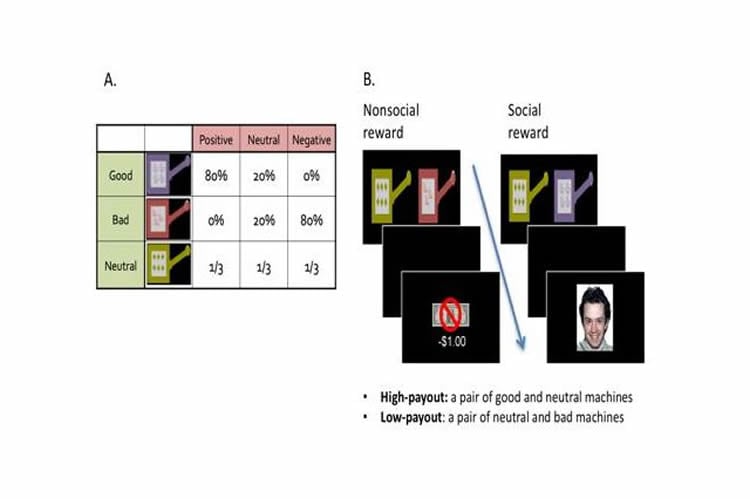 images from the research paper