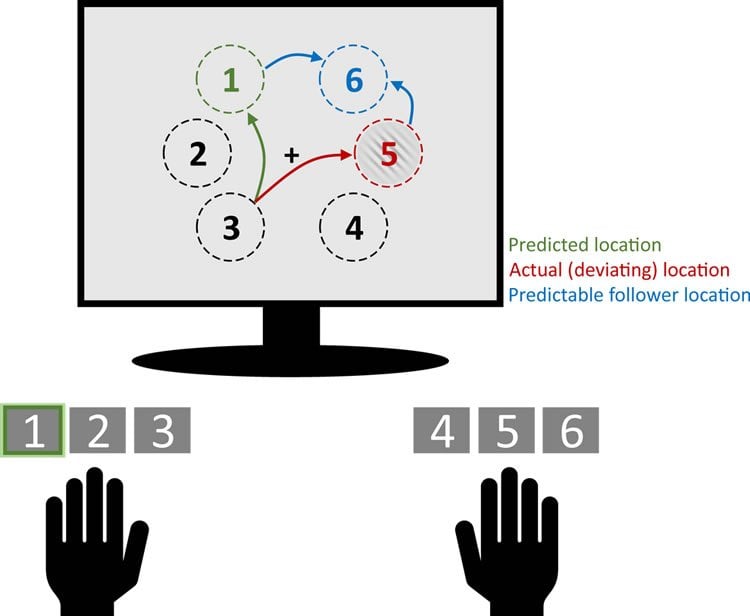 a computer monitor