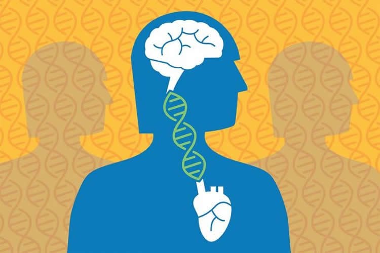 a brain linked to the heart by a DNA strand
