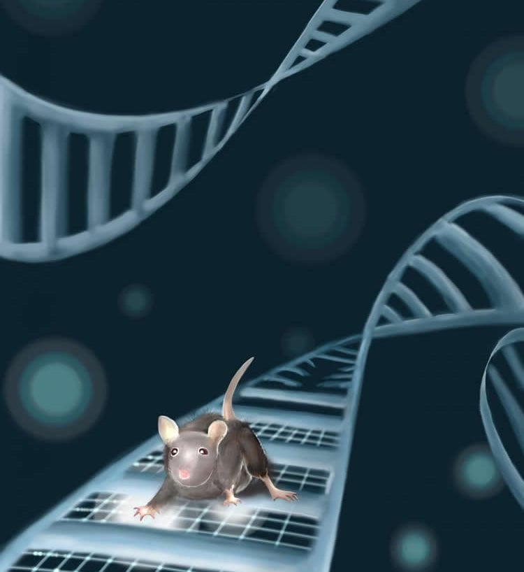 dna