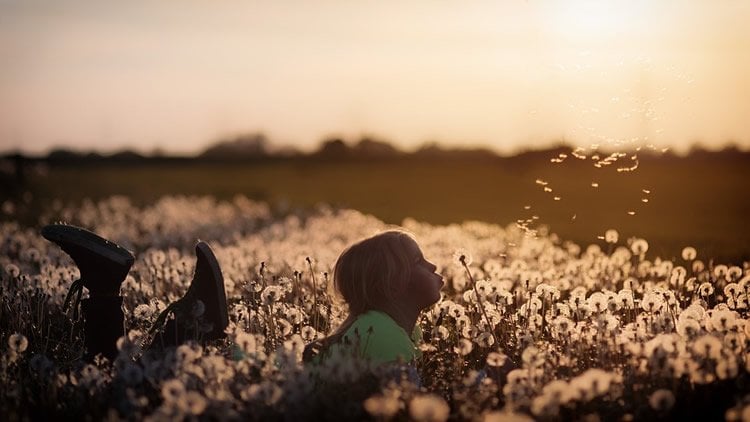 child in a field