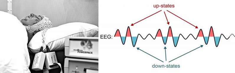 a person sleeping and brain wave diagram