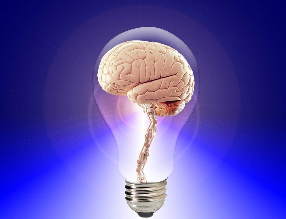 A brain is shown inside of a lightbulb.