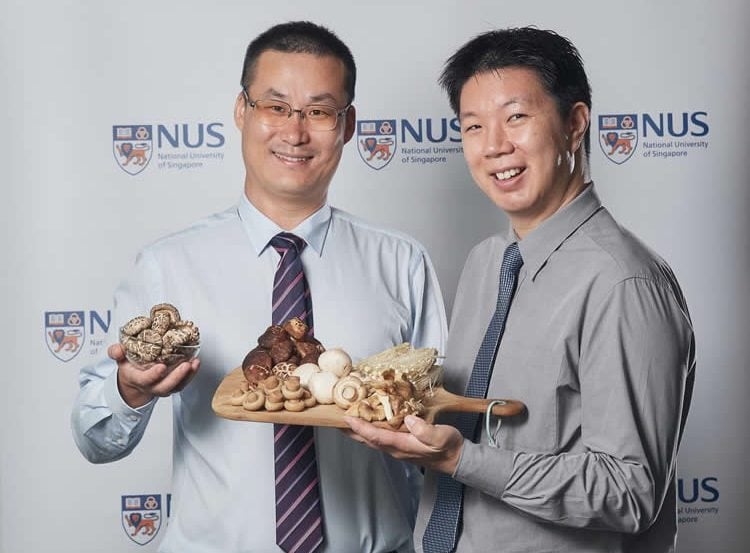 the researchers are photographed holding a plate of mushrooms