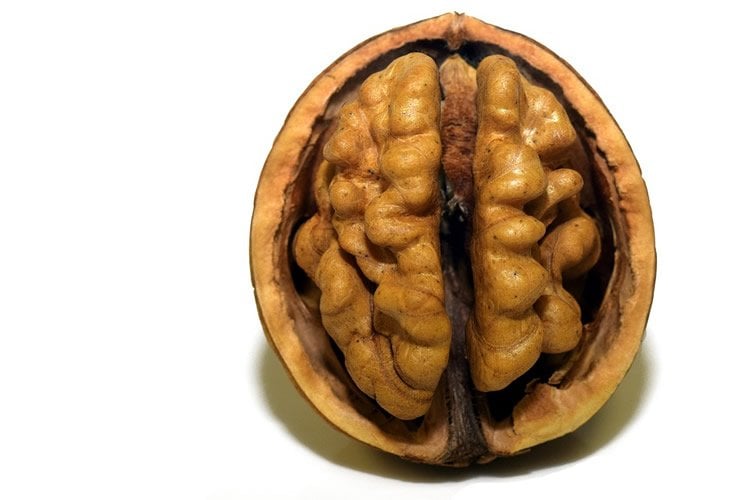 This walnut looks like a brain
