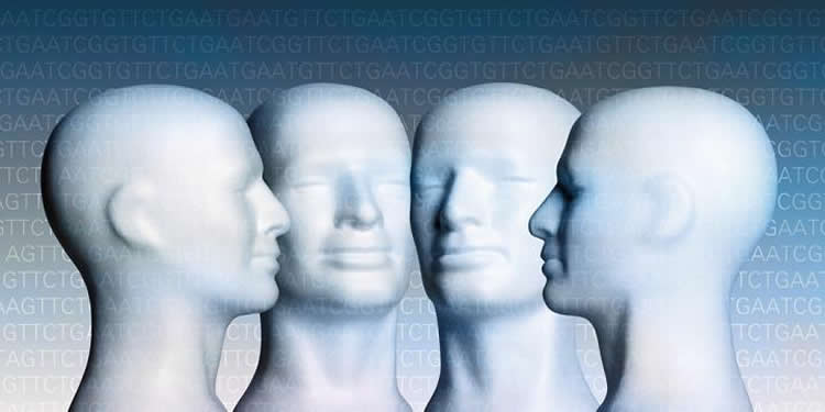 This image shows model heads