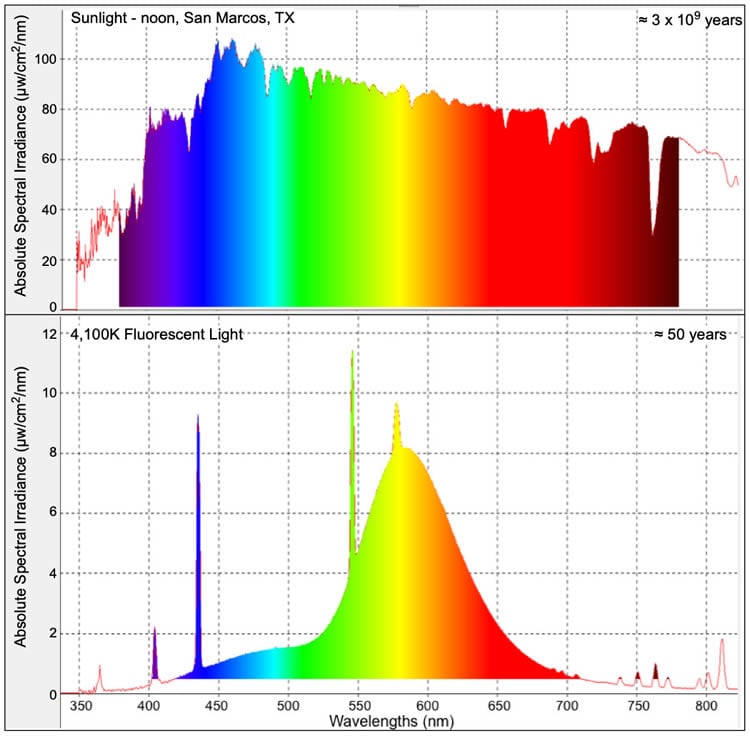 This shows a graph detailing the effects of FL exposure to inflammation and immune response