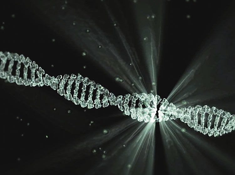 A DNA double helix is shown here