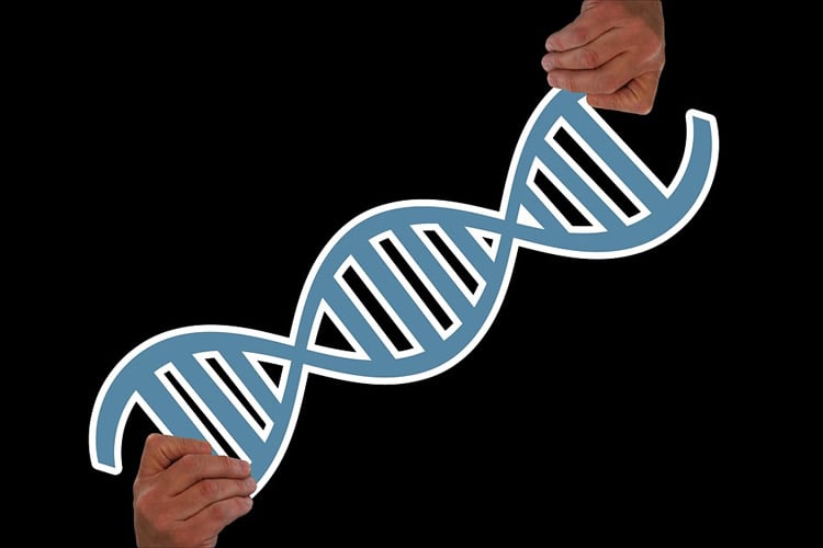 This shows two hands holding a DNA double helix