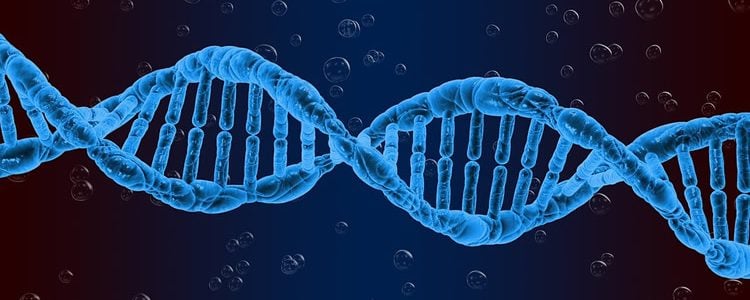 This shows a blue DNA double helix