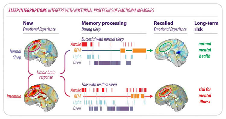 Horror movies manipulate brain activity expertly to enhance excitement -  Neuroscience News