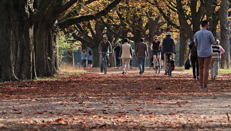 This shows people walking and cycling in a park