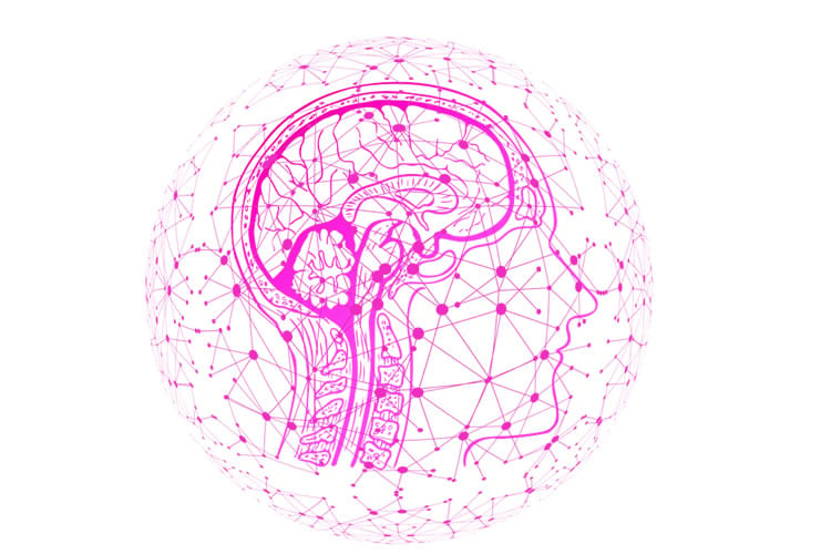 This shows a pink head with a brain outlined and network like dots