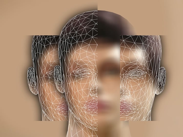 This is a computerized version of a woman's face
