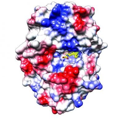 This shows the structure of the compound