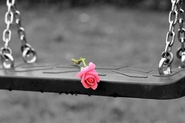 This shows a swing with a pink rose on it
