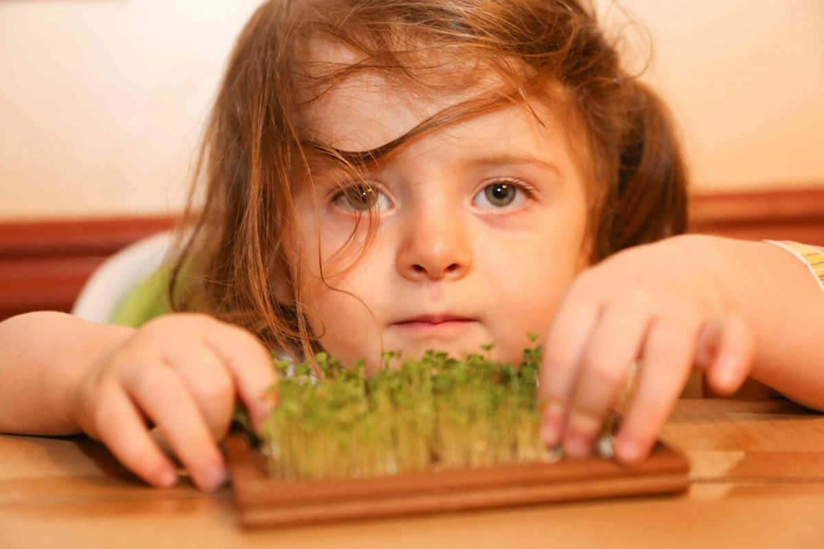 This shows the researcher's daughter and the broccoli sprouts she is growing