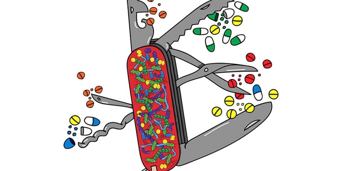 This is a drawing of a swiss army knife covered in bacteria