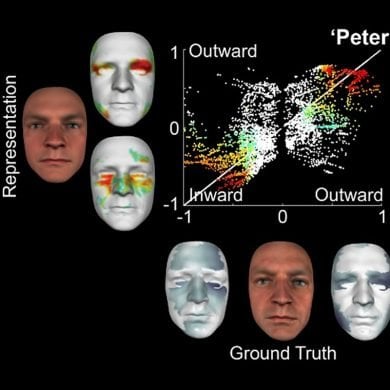 This shows how the model reconstructs a face