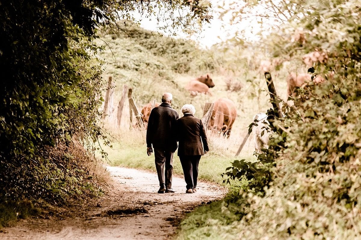This shows an old couple walking down a country lane