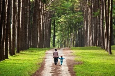 This shows a parent and child walking in the park