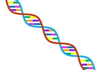 This shows a rainbow DNA double helix