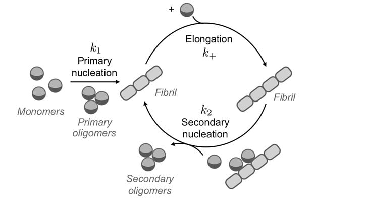 This shows a diagram from the study