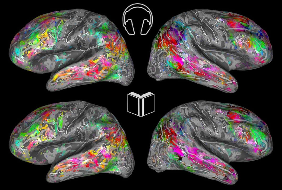 This shows the brain maps