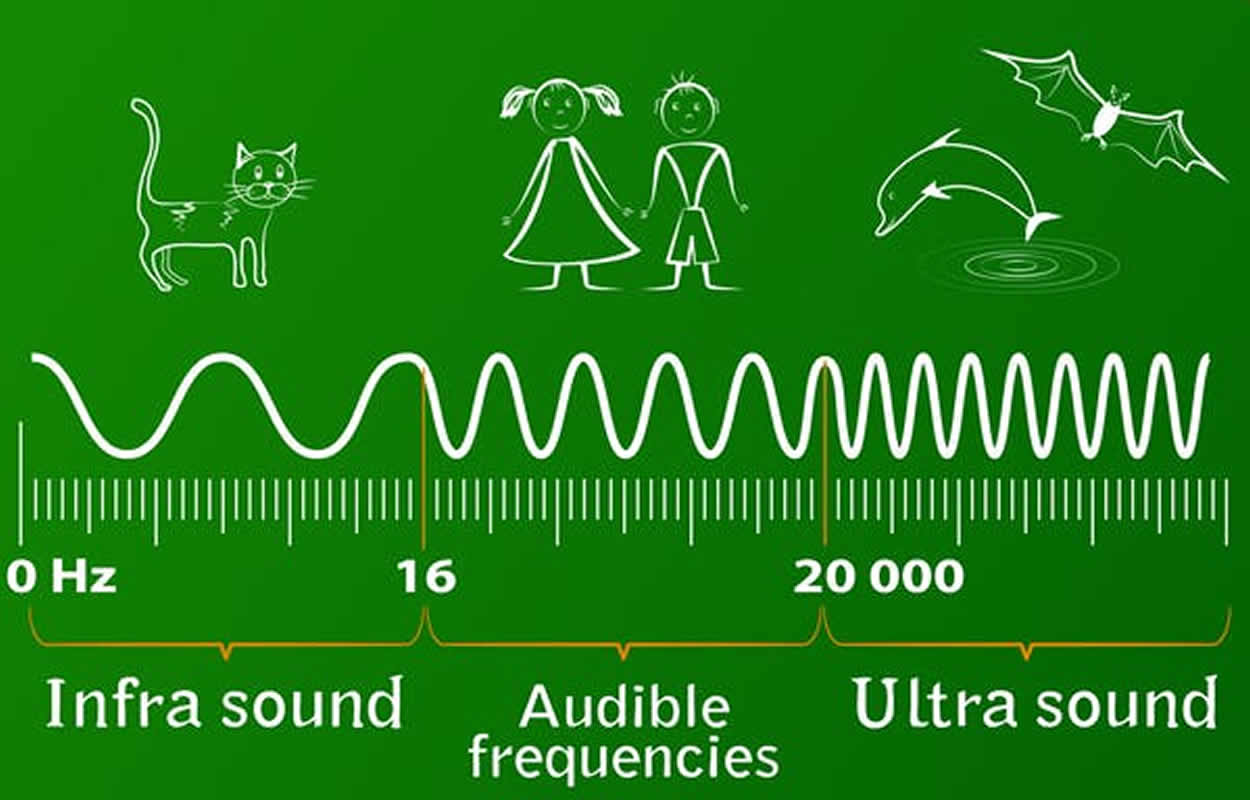 Ultrasonic deals wave frequency