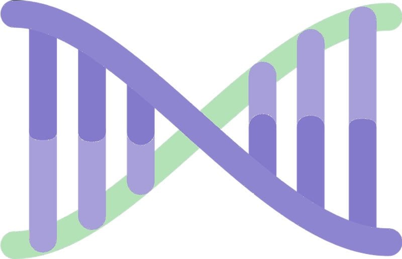 This shows a DNA strand