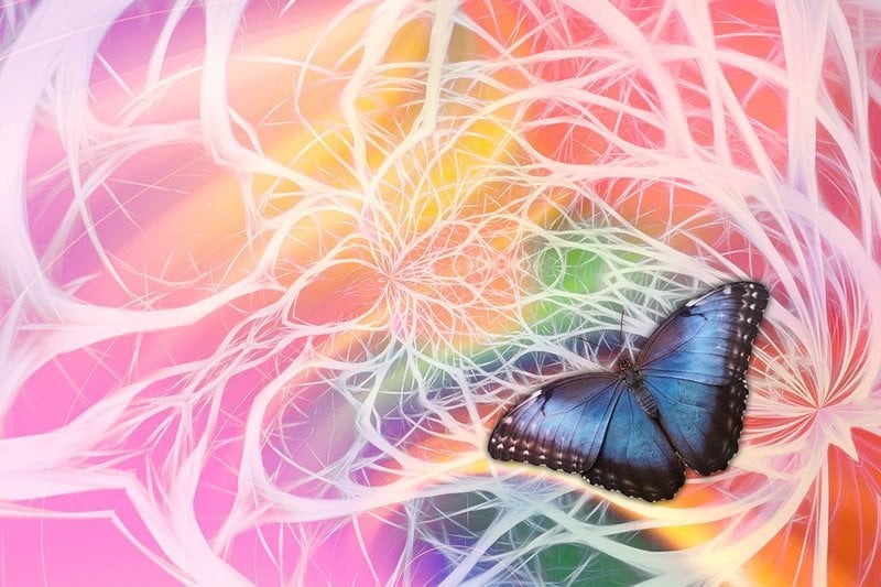 This shows a butterfly against a neuron swirly background