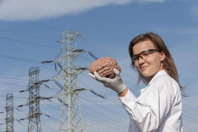 This shows one of the researchers holding a brain model