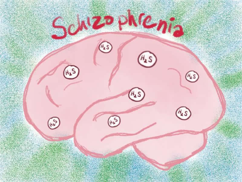 This is a drawing of a brain