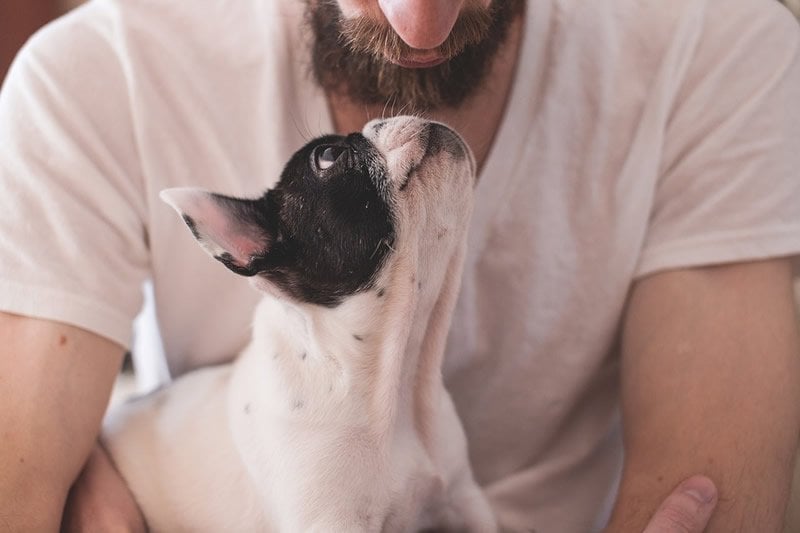 This shows a man with a puppy